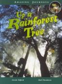 Cover for Up a Rainforest Tree (Amazing Journeys)