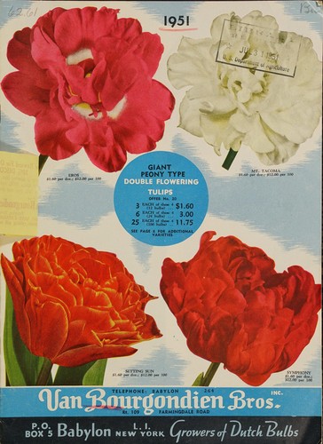 Cover for 1951