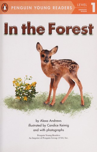 Cover for In the forest