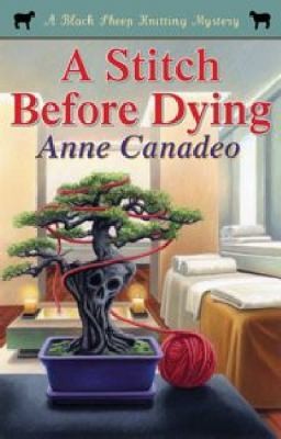 Cover for A Stitch Before Dying