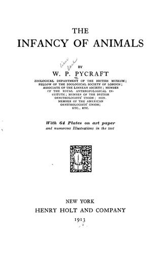 Cover for The infancy of animals