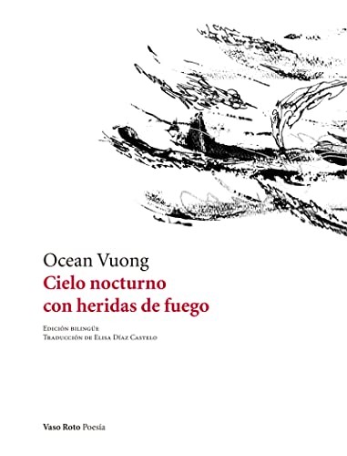 Cover for Cielo nocturno con heridas de fuego