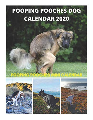 Cover for Pooping Pooches Dog Calendar 2020 - Pooping Pooches Mini Calendar