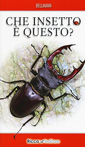 Cover for Che insetto è questo?