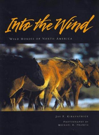 Cover for Into the wind