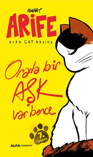 Cover for Arife - Evde Cat Basina; Orada bir Ask Var Bence
