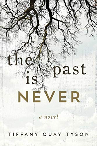 Cover for The Past Is Never: A Novel