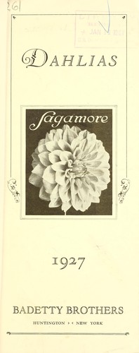 Cover for Dahlias