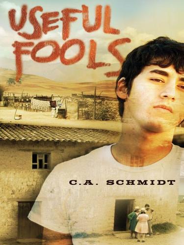 Cover for Useful Fools