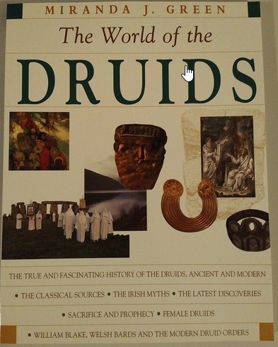 Cover for Exploring the world of the Druids