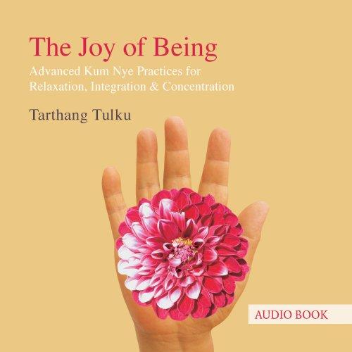 Cover for The Joy of Being
