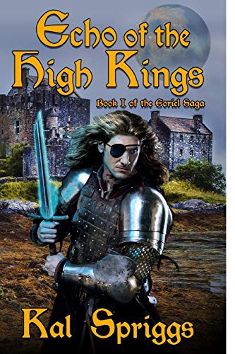 Cover for Echo of the High Kings
