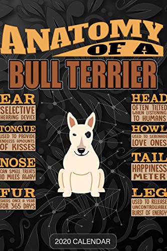 Cover for Anatomy Of A Bull Terrier