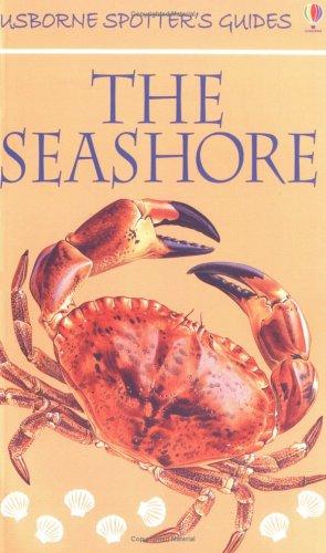 Cover for The Seashore