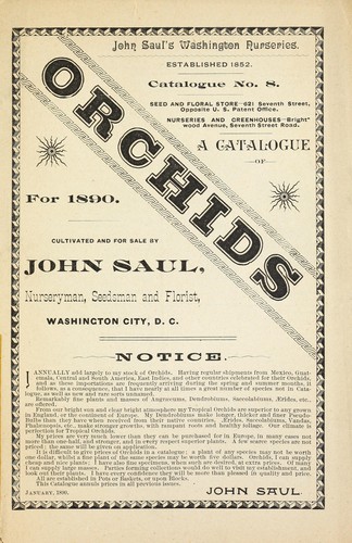 Cover for A catalogue of orchids for 1890, cultivated and for sale by John Saul, nurseryman, seedmsman and florist, Washington City, D. C.