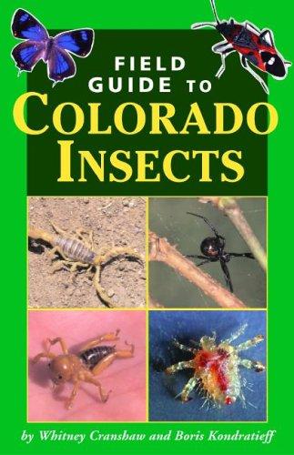 Cover for Field Guide to Colorado Insects