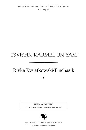 Cover for Tsṿishn Karmel un yam