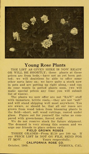 Cover for Young rose plants
