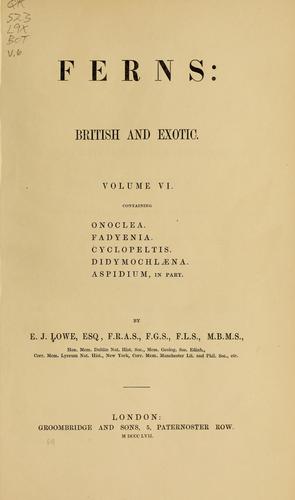 Cover for Ferns