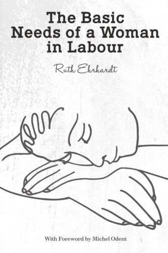 Cover for The Basic Needs of a Woman in Labour