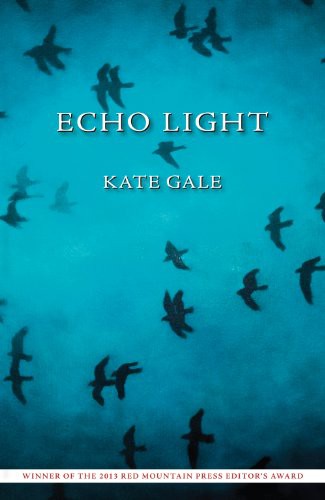 Cover for Echo Light