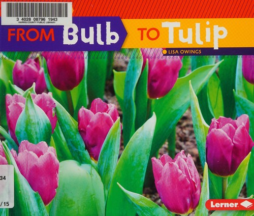 Cover for From bulb to tulip
