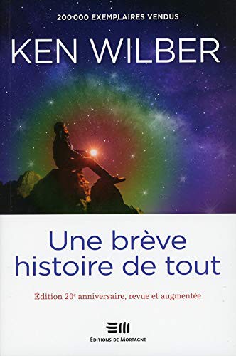 Cover for Une brève histoire de tout