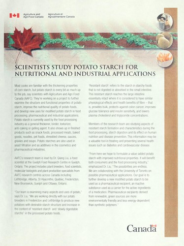 Cover for Scientists study potato starch for nutritional and industrial applications