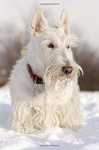 Cover for Cutest White Scottish Terrier (Scotty) Dog Journal: 150 Page Lined Notebook/Diary