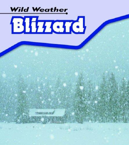 Cover for Blizzard (Wild Weather)