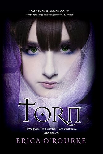 Cover for Torn
