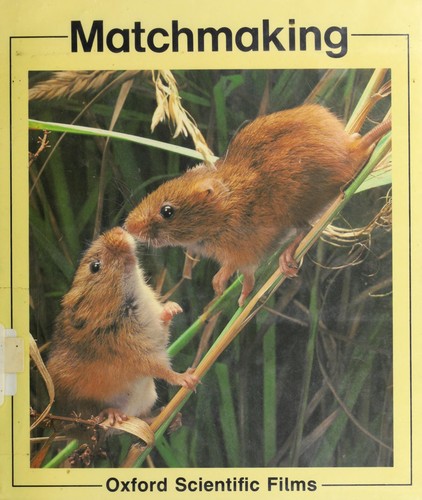 Cover for Matchmaking