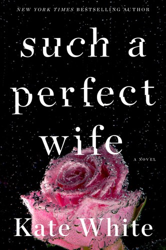 Cover for Such a Perfect Wife