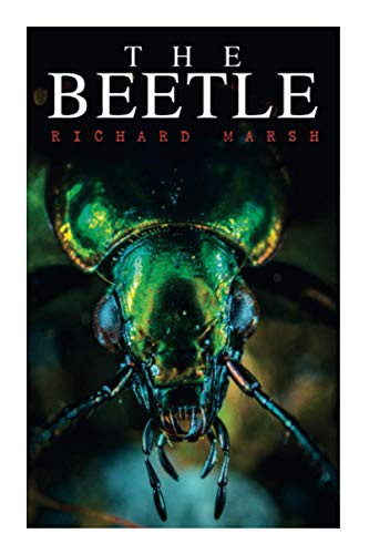 Cover for The Beetle