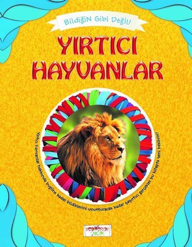 Cover for Bildigin Gibi Degil