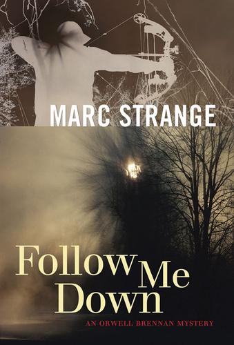 Cover for Follow Me Down