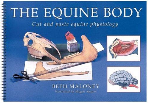 Cover for The Equine Body