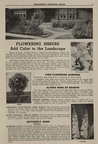 Cover for Fruit, shade and ornamental trees, shrubs, and roses