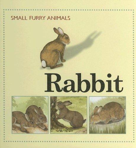 Cover for Rabbit (Small Furry Animals)
