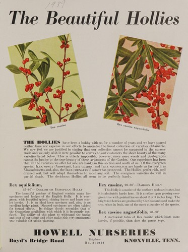 Cover for The beautiful hollies