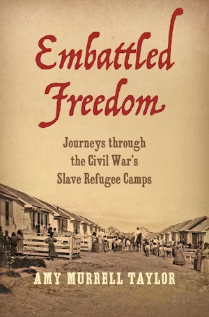 Cover for Embattled Freedom