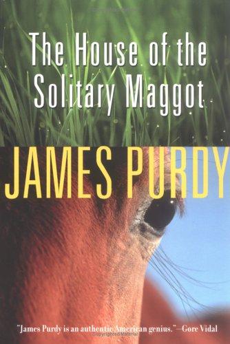 Cover for The House of the Solitary Maggot