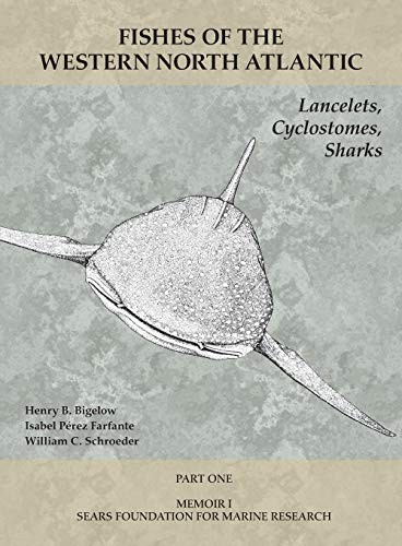 Cover for Lancelets, Cyclostomes, Sharks