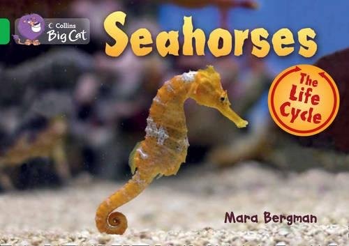 Cover for Seahorses