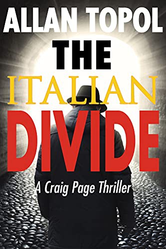 Cover for The Italian Divide