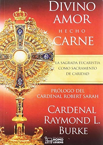 Cover for DIVINO AMOR HECHO CARNE