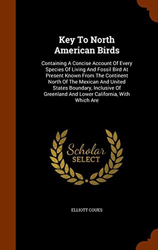 Cover for Key To North American Birds