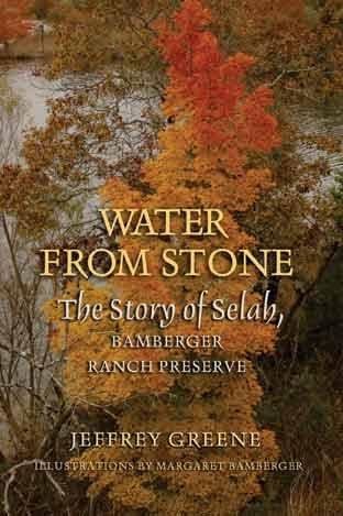 Cover for Water from Stone