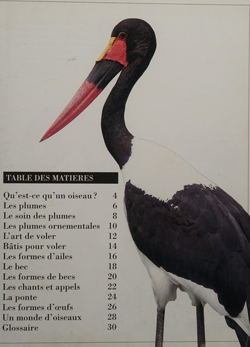 Cover for Qu'est-ce qu'un oiseau ?