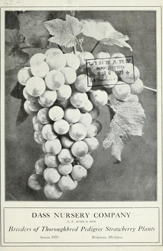 Cover for Breeders of thoroughbred pedigree strawberry plants